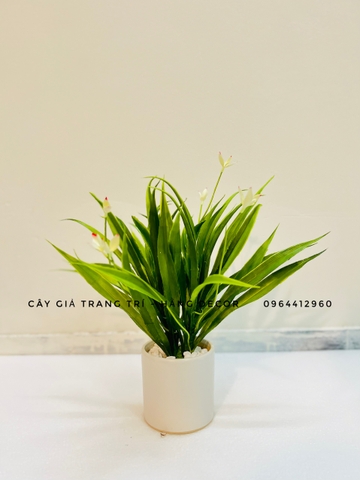 CHẬU DỨA HOA GIẢ ĐẶT BÀN 35CM