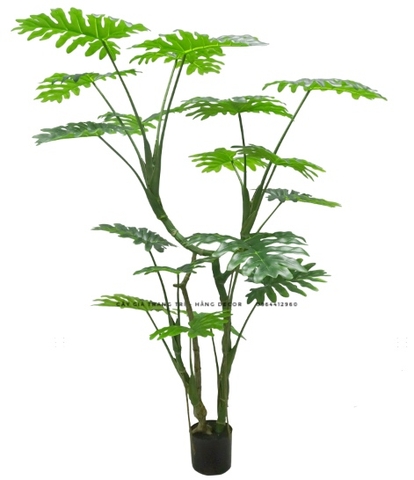 CÂY TRẦU BÀ LEO GIẢ HẰNG DECOR (1M2-1M6)