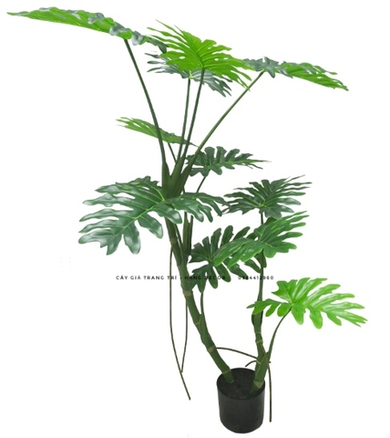 CÂY TRẦU BÀ LEO GIẢ HẰNG DECOR (1M2-1M6)