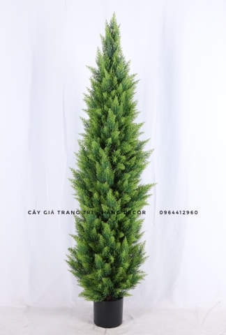 CÂY TÙNG THƠM GIẢ TRANG TRÍ HẰNG DECOR (1M2-1M6)