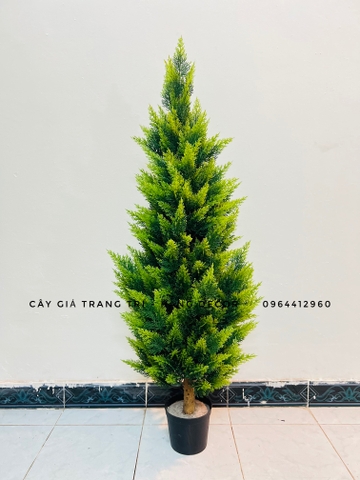 CÂY TÙNG THƠM GIẢ TRANG TRÍ HẰNG DECOR (1M2-1M6)