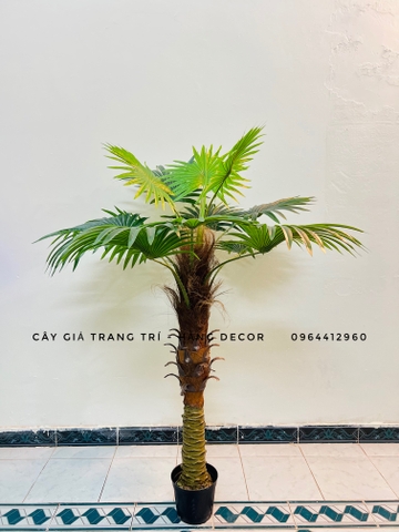 CÂY CỌ THÂN TO GIẢ HẰNG DECOR (1M5-2M)
