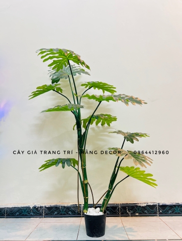 CÂY TRẦU BÀ LEO GIẢ HẰNG DECOR (1M2-1M6)