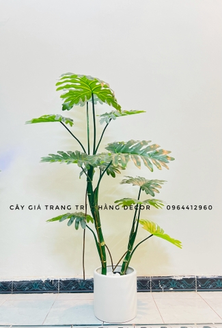 CÂY TRẦU BÀ LEO GIẢ HẰNG DECOR (1M2-1M6)