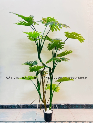 CÂY TRẦU BÀ LEO GIẢ HẰNG DECOR (1M2-1M6)