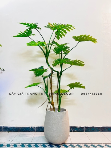 CÂY TRẦU BÀ LEO GIẢ HẰNG DECOR (1M2-1M6)