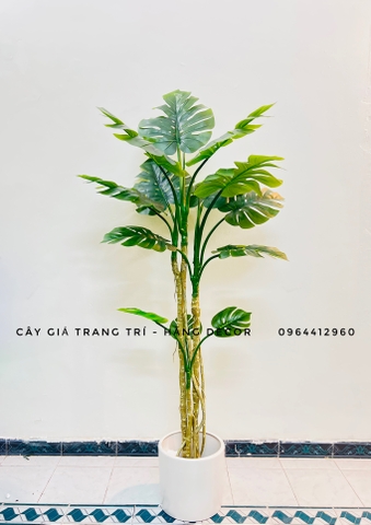 CÂY TRẦU BÀ NAM MỸ GIẢ TRANG TRÍ(1M4, 1M6, 1M9)