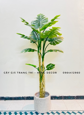 CÂY TRẦU BÀ NAM MỸ GIẢ TRANG TRÍ(1M4, 1M6, 1M9)