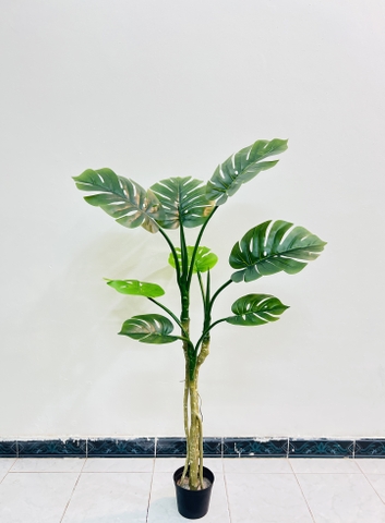 CÂY TRẦU BÀ NAM MỸ GIẢ TRANG TRÍ(1M4, 1M6, 1M9)