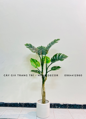 CÂY TRẦU BÀ NAM MỸ GIẢ TRANG TRÍ(1M4, 1M6, 1M9)
