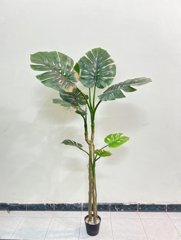 CÂY TRẦU BÀ NAM MỸ GIẢ TRANG TRÍ(1M4, 1M6, 1M9)