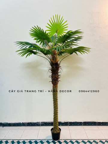 CÂY CỌ THÂN TO GIẢ HẰNG DECOR (1M5-2M)