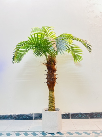 CÂY DỪA THÂN TO GIẢ HẰNG DECOR (1M5-2M)