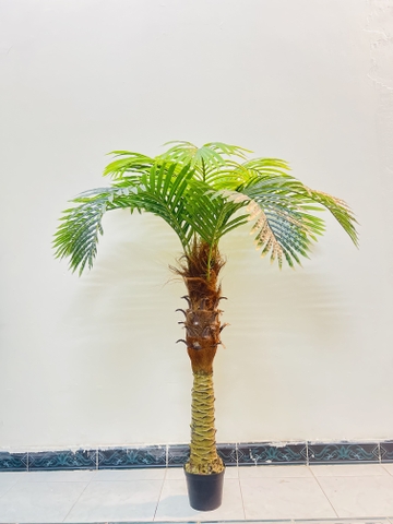 CÂY DỪA THÂN TO GIẢ HẰNG DECOR (1M5-2M)