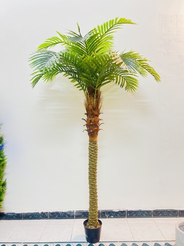 CÂY DỪA THÂN TO GIẢ HẰNG DECOR (1M5-2M)