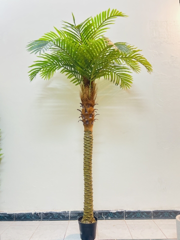 CÂY DỪA THÂN TO GIẢ HẰNG DECOR (1M5-2M)