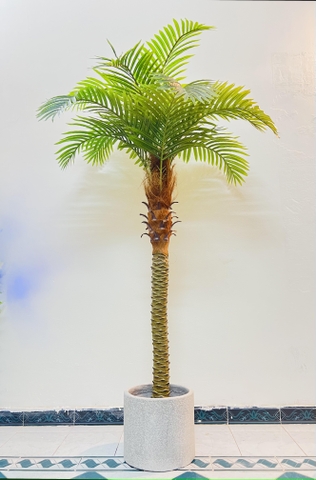CÂY DỪA THÂN TO GIẢ HẰNG DECOR (1M5-2M)