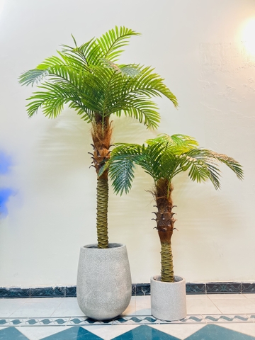 CÂY DỪA THÂN TO GIẢ HẰNG DECOR (1M5-2M)