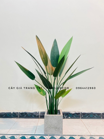 CÂY CHUỐI THIÊN ĐIỂU TRANG TRÍ HẰNG DECOR ( 1M1, 1M4, 1M6)