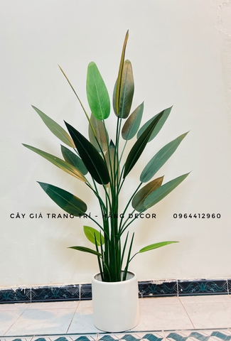 CÂY CHUỐI THIÊN ĐIỂU TRANG TRÍ HẰNG DECOR ( 1M1, 1M4, 1M6)