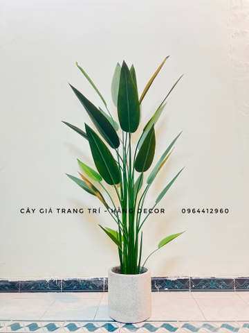 CÂY CHUỐI THIÊN ĐIỂU TRANG TRÍ HẰNG DECOR ( 1M1, 1M4, 1M6)