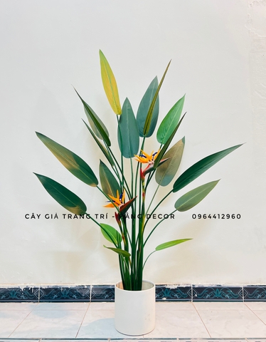CÂY HOA THIÊN ĐIỂU GIẢ HẰNG DECOR (1M4-1M6)