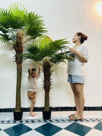CÂY CỌ THÂN TO GIẢ HẰNG DECOR (1M5-2M)