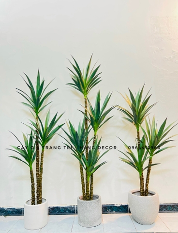 CÂY PHÁT TÀI NÚI GIẢ TRANG TRÍ HẰNG DECOR (1M ,1M2,1M4,1M6,1M8)