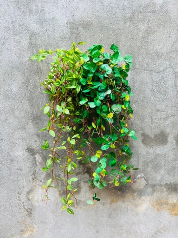 GIỎ CÂY RỦ GIẢ TRANG TRÍ 70CM