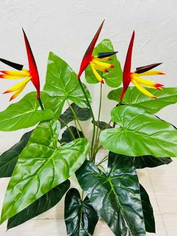 CÂY HOA THIÊN ĐIỂU GIẢ 60CM-70CM