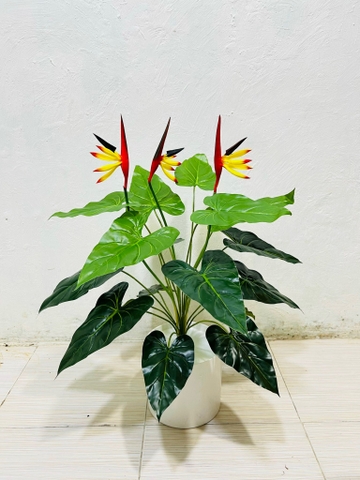 CÂY HOA THIÊN ĐIỂU GIẢ 60CM-70CM