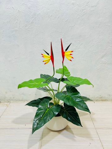 CÂY HOA THIÊN ĐIỂU GIẢ 60CM-70CM