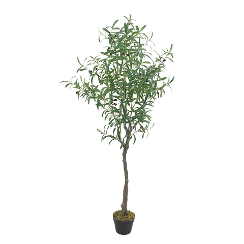 CÂY OLIU GIẢ TRANG TRÍ HẰNG DECOR 1M65