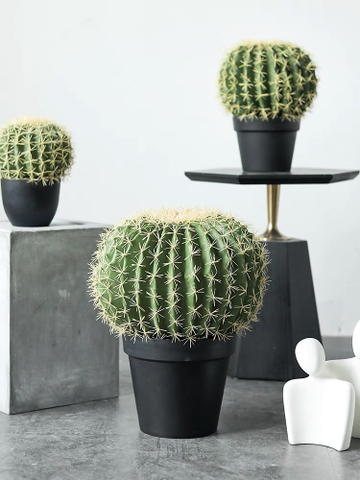 CÂY XƯƠNG RỒNG TRÒN NHỰA GIẢ TRANG TRÍ ( 22CM, 30CM,45CM)