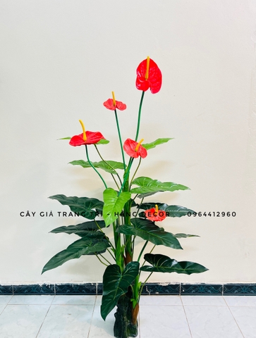 CÂY HOA HỒNG MÔN GIẢ HẰNG DECOR (1M2, 1M5)