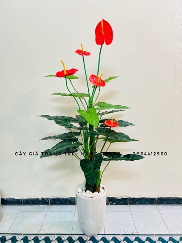 CÂY HOA HỒNG MÔN GIẢ HẰNG DECOR (1M2, 1M5)