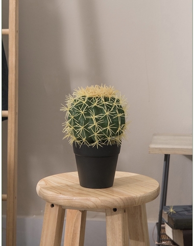 CÂY XƯƠNG RỒNG TRÒN NHỰA GIẢ TRANG TRÍ ( 22CM, 30CM,45CM)