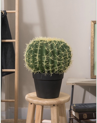 CÂY XƯƠNG RỒNG TRÒN NHỰA GIẢ TRANG TRÍ ( 22CM, 30CM,45CM)