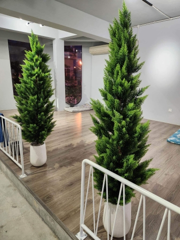 CÂY TÙNG THƠM GIẢ TRANG TRÍ HẰNG DECOR (1M2-1M6)