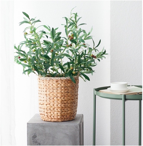 CÀNH OLIU GIẢ 10 NHÁNH 8 QUẢ HẰNG DECOR 90CM