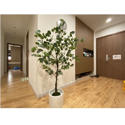 CÂY BẠCH ĐÀN GIẢ TRANG TRÍ NỘI THẤT HẰNG DECOR( 165CM)