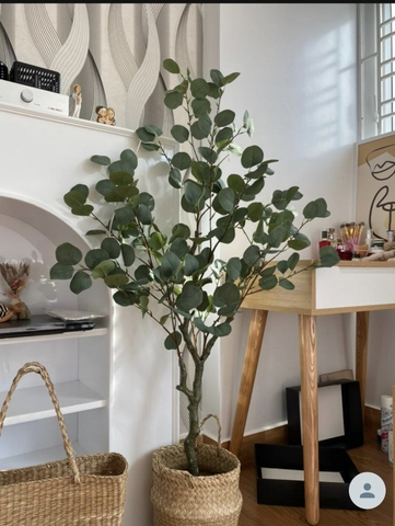 CÂY BẠCH ĐÀN GIẢ TRANG TRÍ NỘI THẤT HẰNG DECOR( 130CM)