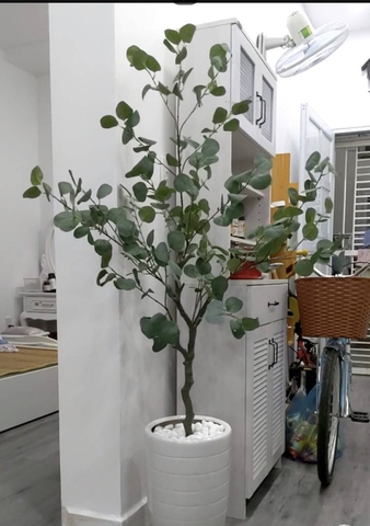 CÂY BẠCH ĐÀN GIẢ TRANG TRÍ NỘI THẤT HẰNG DECOR( 130CM)