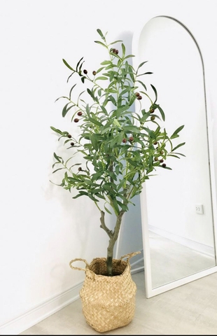CÂY OLIU GIẢ TRANG TRÍ HẰNG DECOR 1M3