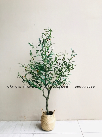 CÂY OLIU GIẢ TRANG TRÍ HẰNG DECOR 1M3