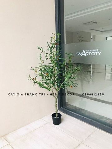 CÂY OLIU GIẢ TRANG TRÍ HẰNG DECOR 1M3