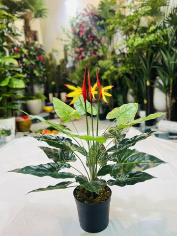 CÂY HOA THIÊN ĐIỂU GIẢ 60CM-70CM
