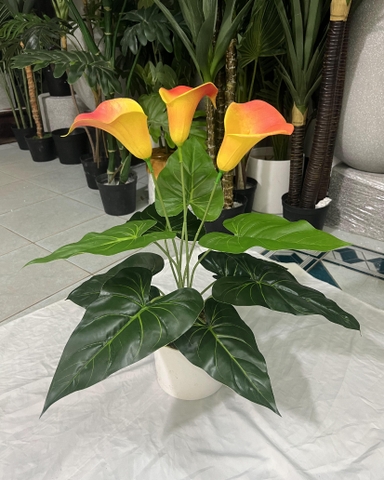 CÂY HOA RUM TRANG TRÍ 50CM