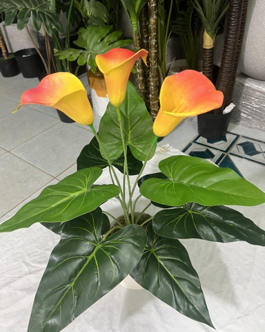 CÂY HOA RUM TRANG TRÍ 50CM
