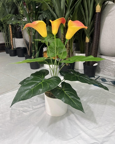 CÂY HOA RUM TRANG TRÍ 50CM